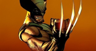 Wolverine-Cute-Tumblr-Wallpaper-936060hd-800x600